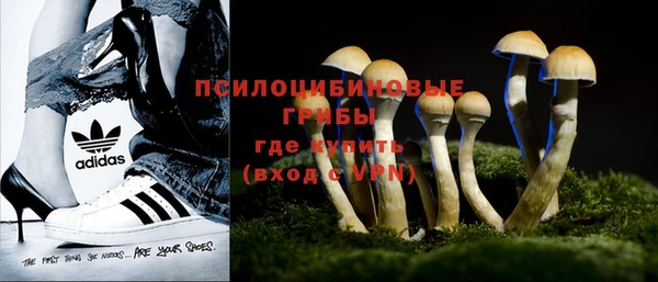 мет Белокуриха