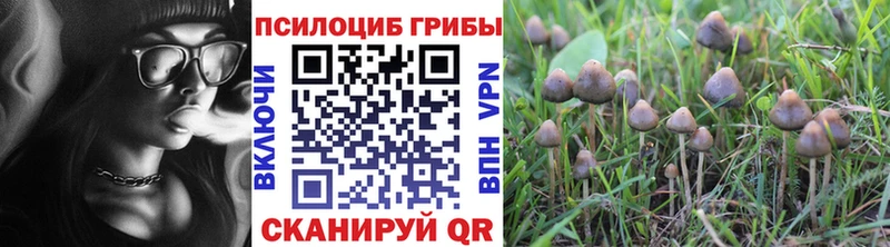 Псилоцибиновые грибы Magic Shrooms  Котово 